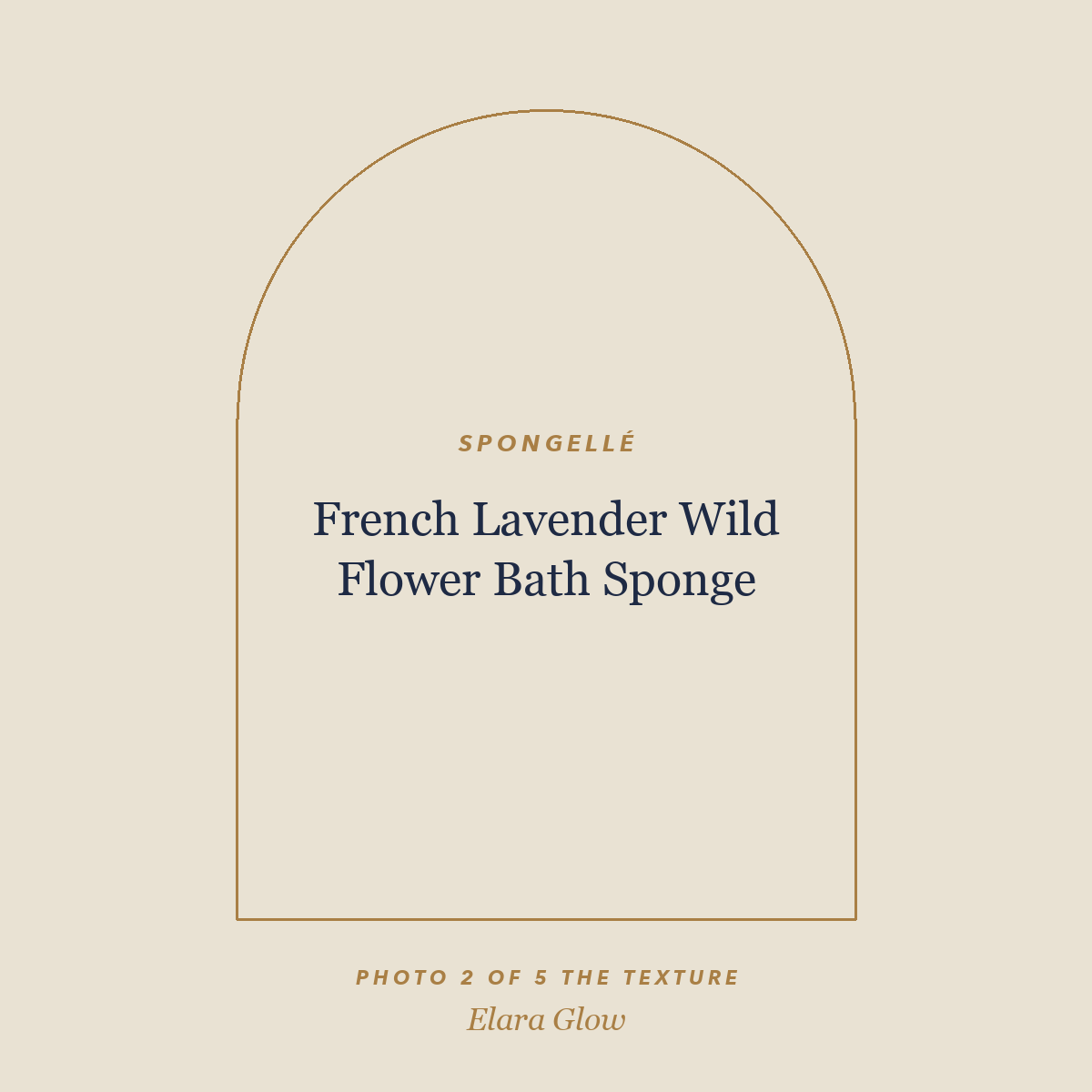 Placeholder, product photo coming soon: Spongellé French Lavender Wild Flower Bath Sponge