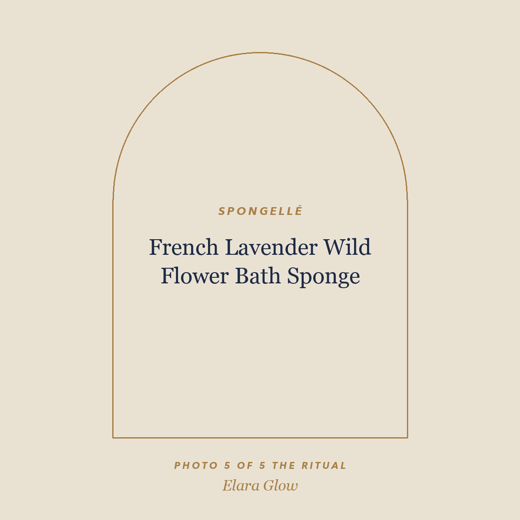 Placeholder, product photo coming soon: Spongellé French Lavender Wild Flower Bath Sponge