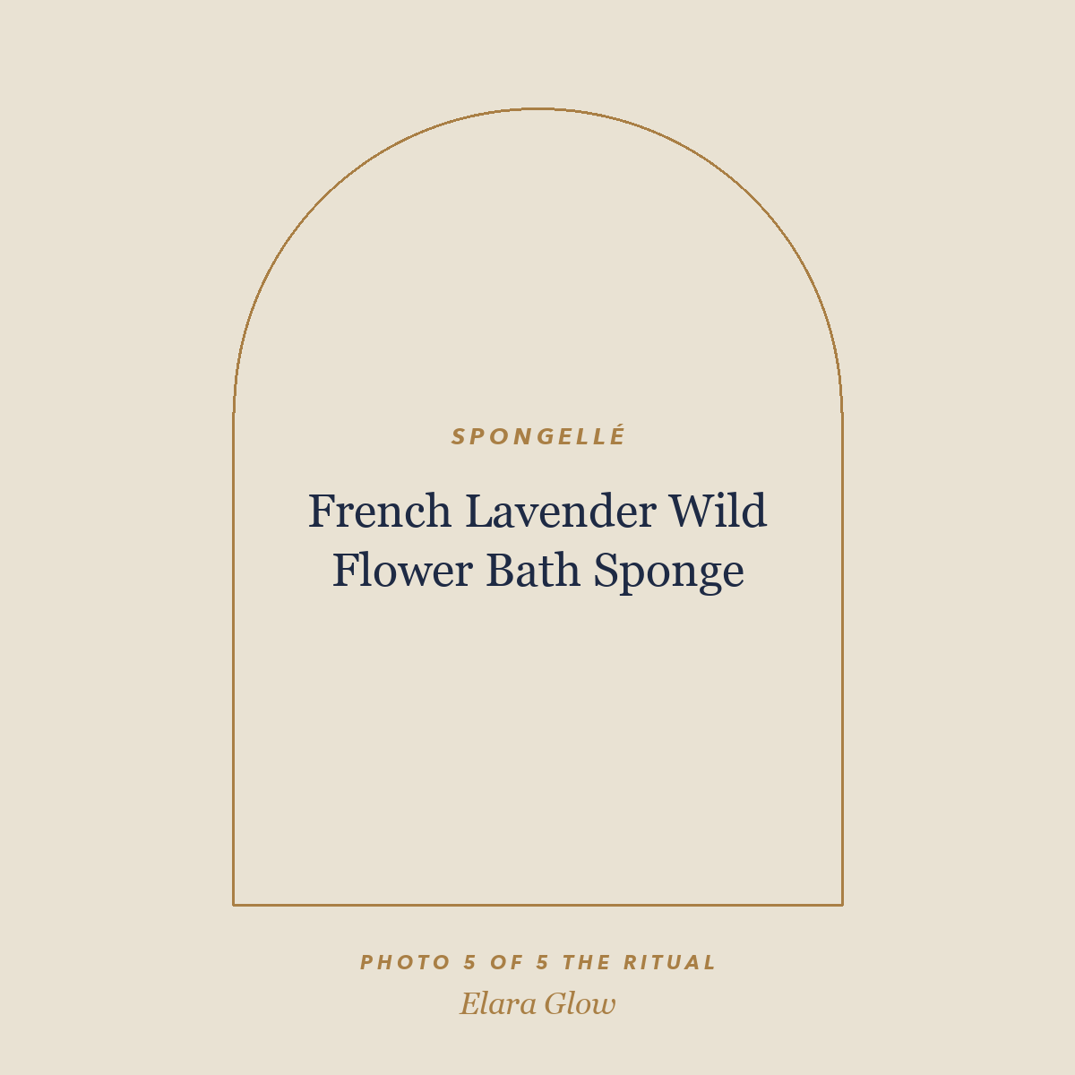 Placeholder, product photo coming soon: Spongellé French Lavender Wild Flower Bath Sponge